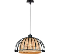 Подвесной светильник ARTE LAMP WOODSTOCK A7071SP-1BK