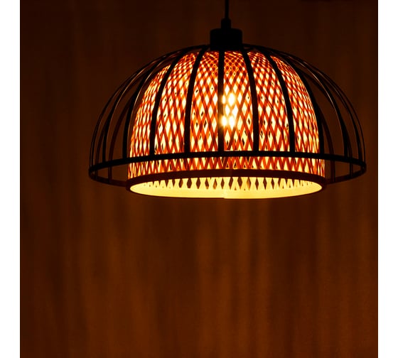 Подвесной светильник ARTE LAMP WOODSTOCK A7071SP-1BK