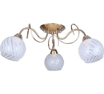 Потолочная люстра Omnilux OML-24907-03