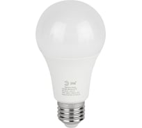 Лампочка светодиодная ЭРА GREEN LINE LED A6025W865E27 GL E27 25 Вт груша холодный свет Б0067111