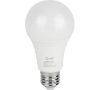 Лампочка светодиодная ЭРА GREEN LINE LED A6530W830E27 GL E27 30 Вт груша теплый свет Б0067143