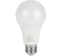 Лампочка светодиодная ЭРА GREEN LINE LED A6530W840E27 GL E27 30 Вт груша яркий белый свет Б0067144