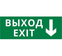 Пиктограмма Dekraft ДСО-IP20 "Выход - вниз" 60433DEK