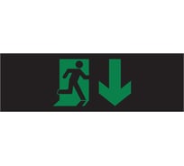 Пиктограмма Dekraft ДСО-IP65-Н "Выход - вниз черный фон" 60576DEK