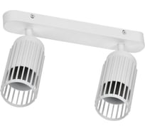 Светильник IEK 4208 настенно-потолочный 2хGU10 белый LT-USB0-4208-GU10-2-K01