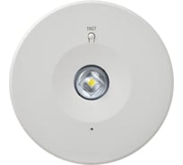 Светильник аварийный IEK ДПА 140 3ч непост. IP20 LDPA0-140-3-3-20-K01