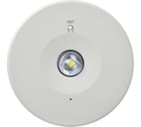 Светильник аварийный IEK ДПА 140 3ч непост. IP20 LDPA0-140-3-3-20-K01