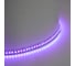Светодиодная LED лента FERON LS502, 180SMD(5050)/м 16Вт/м 24V 5000x10x1.5мм RGB IP20, 51824 9