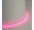 Светодиодная LED лента FERON LS501, 120SMD(5050)/м 11Вт/м 24V 5000x10x1.5мм RGB IP20, 51823 10