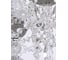 Хрустальная люстра Bohemia Classic Light AL16315/6/165 CG 7
