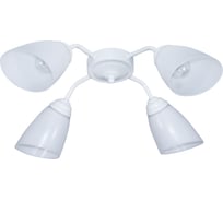 Светильник потолочный ЭЛЕТЕХ Китти 141 хром (плафон П0475) НПБ 01-4x60-136 Е27 _ИМ_ 1005405279