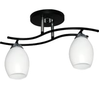 Светильник потолочный ЭЛЕТЕХ Стиль 121 черн.(Плафон 8368) НПБ 01-2x60-123 Е27 _ИМ_ 1005405415