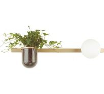 Настенный светильник ODEON LIGHT FLOWER стекло, E14, 1х40W 4682/1WA