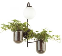 Настенный светильник ODEON LIGHT FLOWER стекло, E14, 1х40W 4681/1W