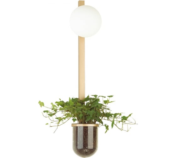 Настенный светильник ODEON LIGHT FLOWER стекло, E14, 1х40W 4682/1WB