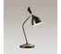 Настольная лампа ODEON LIGHT RASTO металл, E14, 1х40W 4665/1T 2