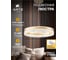 Подвесная люстра ARTE LAMP APOLLO A2549SP-75GO 2