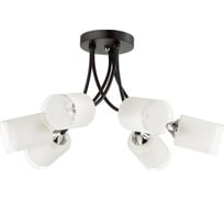 Потолочная люстра LUMION PAULA стекло, E27, 6х60W 4533/6C