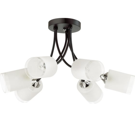 Потолочная люстра LUMION PAULA стекло, E27, 6х60W 4533/6C