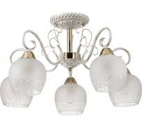 Потолочная люстра LUMION стекло, E27, 5х60W, BIANCOPA 3505/5C
