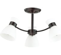 Потолочная люстра LUMION WILMA стекло, E27, 3х60W 4534/3C