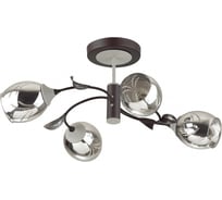 Потолочная люстра LUMION MELISSA стекло, E27, 4х60W 4527/4C