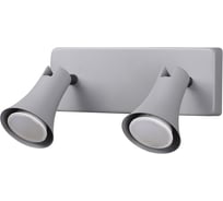Подсветка ODEON LIGHT, металл GU10 100 REANNA 3825/2W