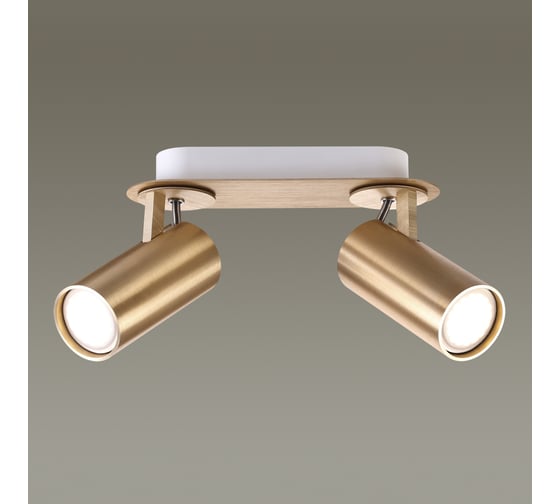 Потолочный светильник ODEON LIGHT, металл GU10 50W KIKO 3876/2C