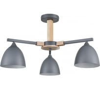 Люстра потолочная LUMION E27 3*60W COLANGE 8096/3 8096\3C