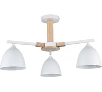 Люстра потолочная LUMION E27 3*60W COLANGE 8095/3 8095\3C