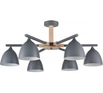 Люстра потолочная LUMION E27 6*60WCOLANGE 8096/6 8096\6C