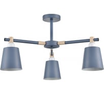 Люстра потолочная LUMION E27 3*60WROSALINA 8098/3 8098\3C