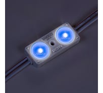 Светодиодный модуль MAKSILED 20 шт, 0,96Вт/0,48Вт, 24В, IP65, 2smd 2835, 20лм/10лм, синий, ML-M2DP-L-2835-B-24V