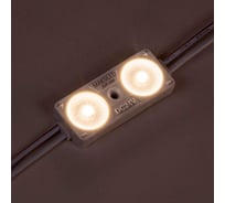 Светодиодный модуль MAKSILED 20 шт, 0,96Вт/0,48Вт, 24В, IP65, 2smd 2835, 170лм/90лм, теплый белый, ML-M2DP-L-2835-WW-24V