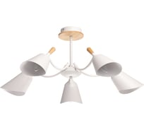 Люстра De City Дэла 5х10W LED E14 220 V 635014805