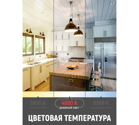 Лампа светодиодная В ПРИдачу 10W E27 A60 4000K 220V 1210612
