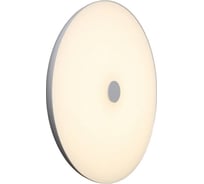 Накладной светильник Omnilux OML-47317-48