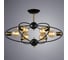 Потолочная люстра Arte Lamp GLASGOW A1963PL-6BK 2