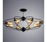 Потолочная люстра Arte Lamp GLASGOW A1963PL-8BK 2