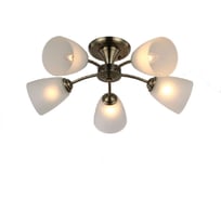 Потолочная люстра J-LIGHT PANNY 3100/5C