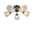Потолочная люстра J-LIGHT PANNY 3100/5C 1