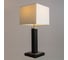 Настольная лампа ARTE LAMP A8880LT-1BK 2