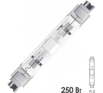 Лампа FL-LED H-QI TS 250-WDL Fc2 22000lm d25x162 FOTON_LIGHTING 612786