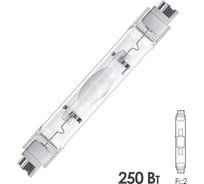 Лампа FL-LED HS-I TS 250-NDL Fc2 22000lm d25x162 FOTON_LIGHTING 617132