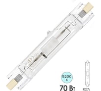 Лампа FL-LED MH ДРИ 70W RX7s 5200K WHITE МГЛ 605641