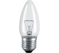 Лампа FL-LED ДС230-25-3 25W 230V E27 260lm d36x97 - накаливания БЭЛЗ 4810053020810