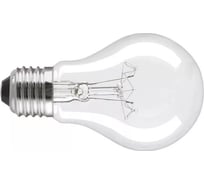 Лампа FL-LED Б230-25-5 25W 230V E27 260lm d55x105 - накаливания БЭЛЗ 4810053020674