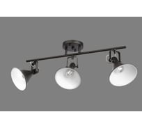 Спот J-LIGHT GASTON 1379/3A