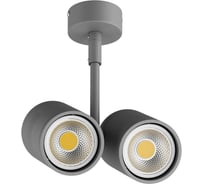 Потолочный светильник Lightstar 214449