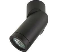 Спот Lightstar 051017